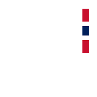 SFN Logo